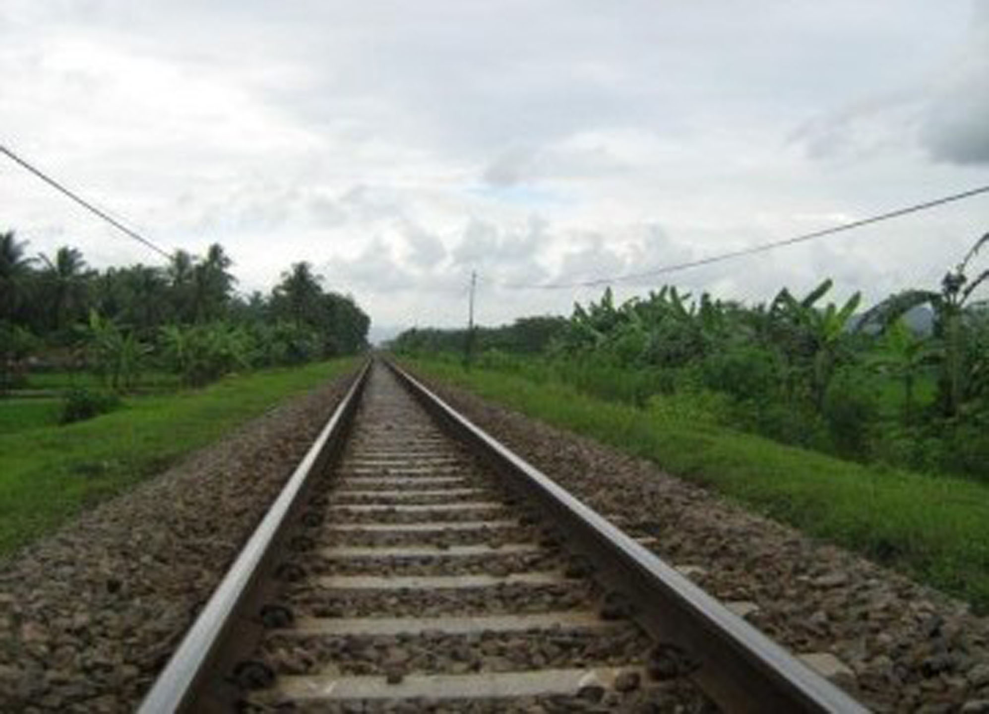 Pembebasan Lahan dan Pematangan lahan Jalur Kereta Api Membutuhkan anggaran 31 triliun