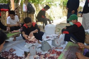 Wahdah Islamiyah Mamuju Salurkan Setengah Ton Daging Qurban