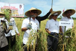 IMG_8554 16.430 Hektar Potensi Sawah Mamuju