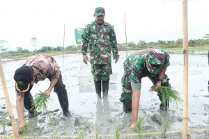 Kebersamaan Danrem 142 Tatag Dengan Petani Desa Polewali
