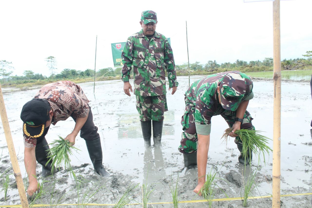 Kebersamaan Danrem 142 Tatag Dengan Petani Desa Polewali