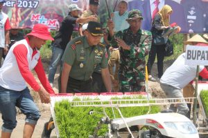 Danrem 142 : Cetak Sawah , Alternatif Swasembada Pangan