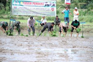 Bagikan Alsintan, Bupati Harap Produktivitas Petani Meningkat