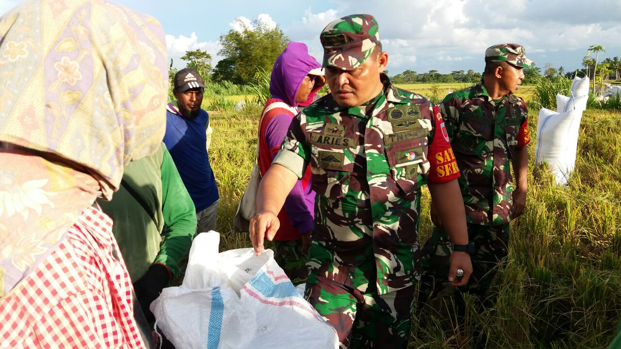 Dandim Enrekang Pimpim Operasi Serap Gabah