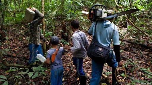 Polres Matra Ciduk 4 Pelaku Ilegal Logging