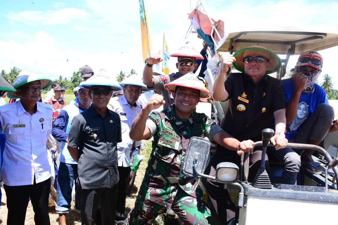 Bersama Petani, Kodim 1418 Mamuju Pesta Panen di Mateng