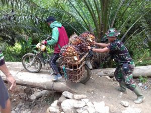 Serka Markus Patongloan Terciduk Bantu Warga