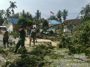 IMG-20200129-WA0039 Babinsa Bersama Warga Gotong Royong Sinkirkan Pohon Tumbang
