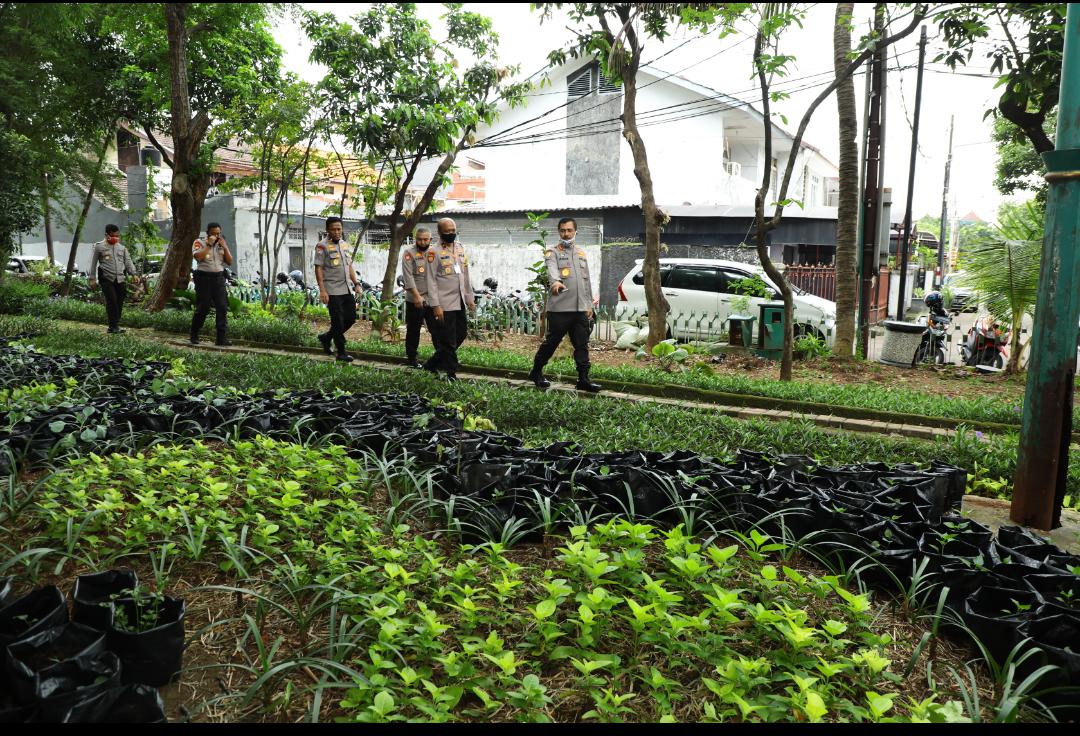 Kabaharkam Polri: Tanam Sayur di Polybag, Alternatif Tetap Produktif dari Rumah