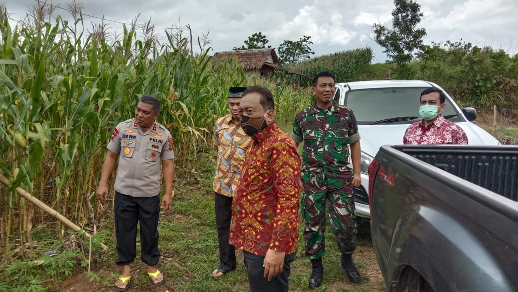 Kapolda dan Forkopimda Tinjau lokasi Pembibitan Jagung dan Ikan Milik Polda Sulbar