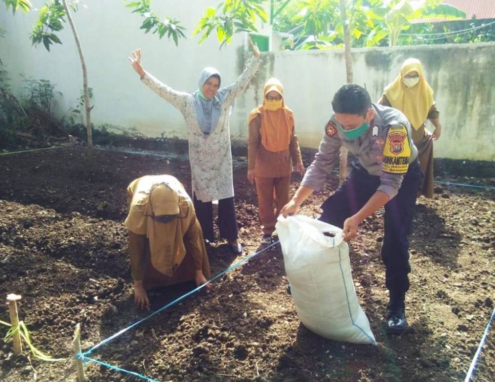 IMG-20200623-WA0040 Bhabinkamtibmas Polres Majene Bantu Garap Lahan Pertanian Warga.