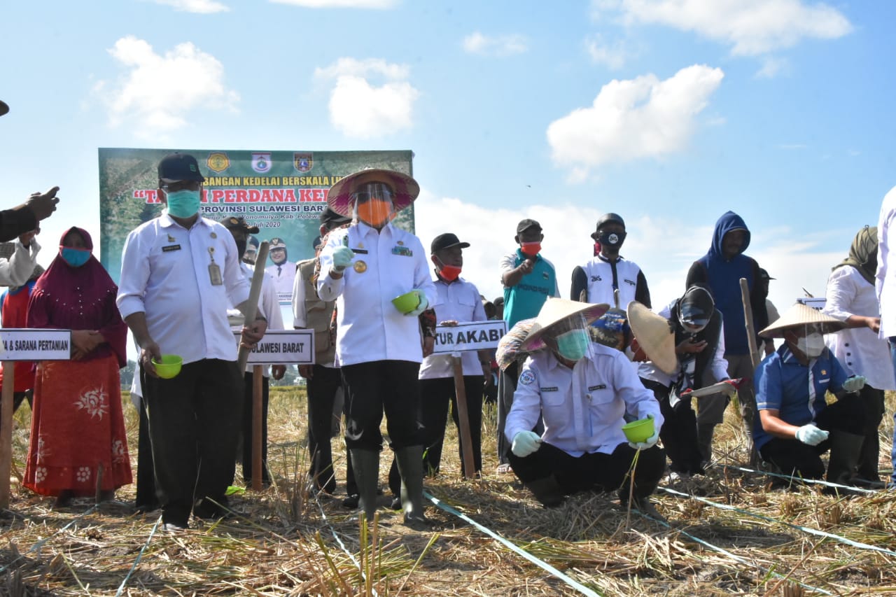 Gubernur Sulbar Lakukan Penanaman Perdana Kedelai di Sumberjo