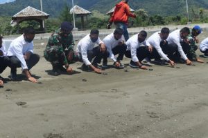 IMG-20200921-WA0024 Prajurit TNI AL Lanal Mamuju Melepas Anak Penyu