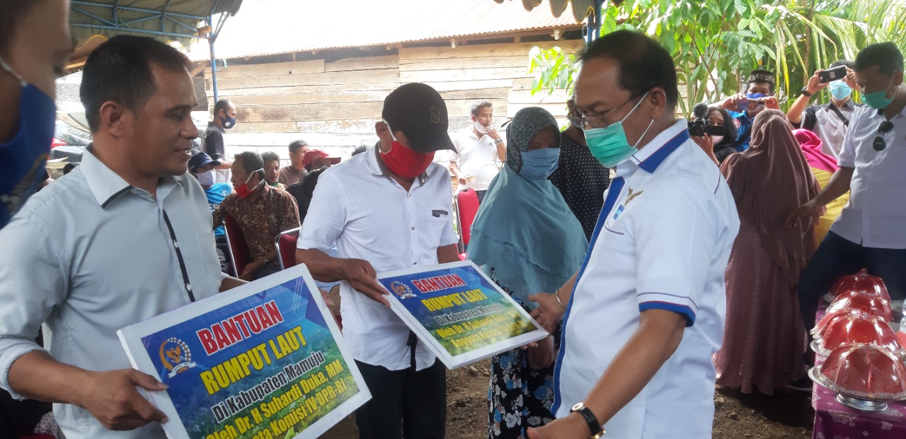 SDK Bersama KKP Salurkan Bantuan 9 Ton Bibit Rumput Laut