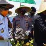 Panen Kedelai Di Polman Terapkan Protokol Kesehatan Panen Kedelai Di Polman Terapkan Protokol Kesehatan