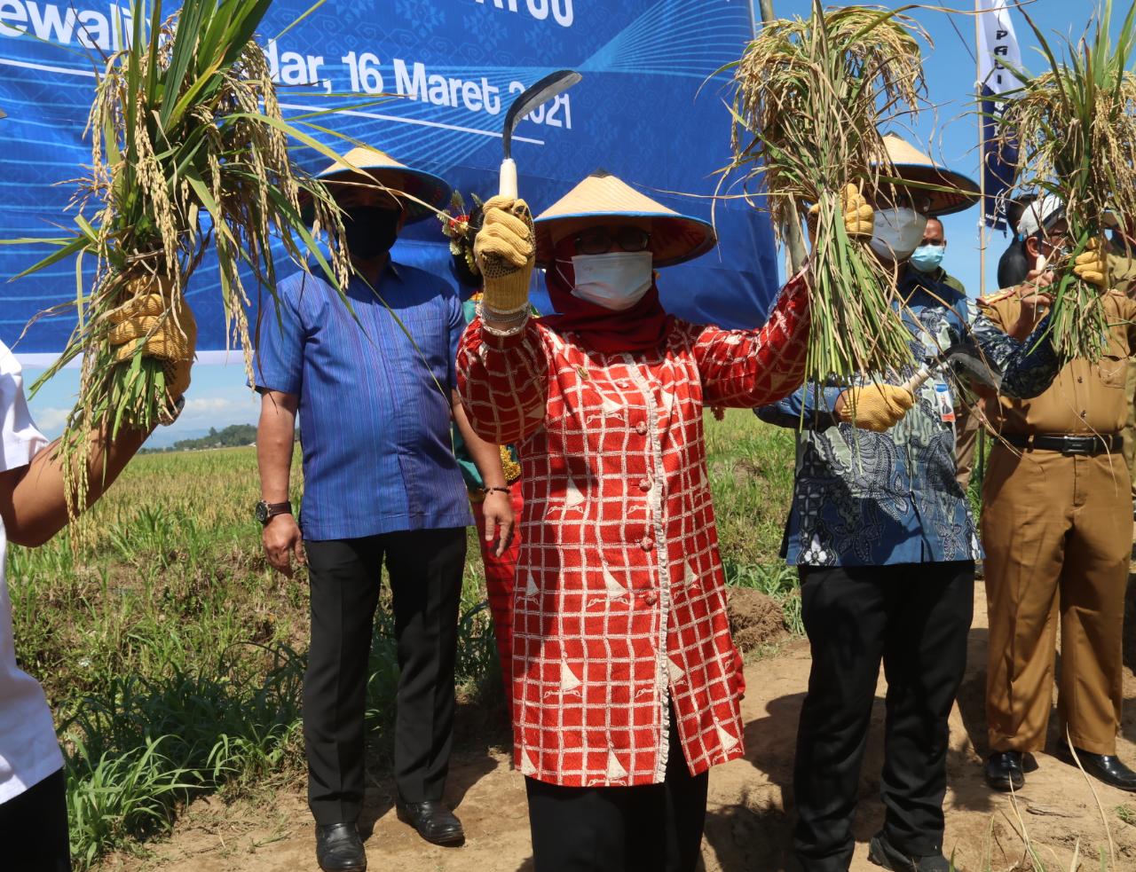 Enny Sebut Metode Pilot Projects Gapoktan Mampu Menekan Inflasi