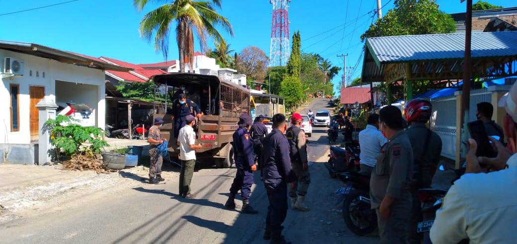 50 Personel Satpol PP Hanya Jaring Satu Ekor Ternak