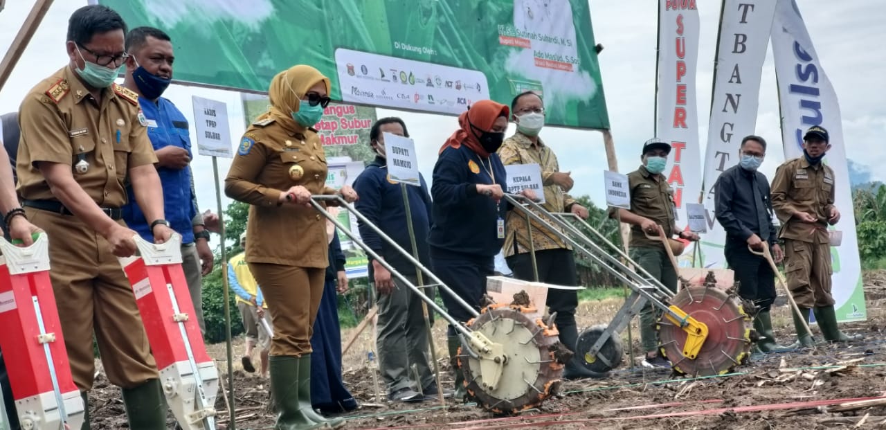 BPTP Sulbar Perkenalkan Teknologi Pertanian ke Petani