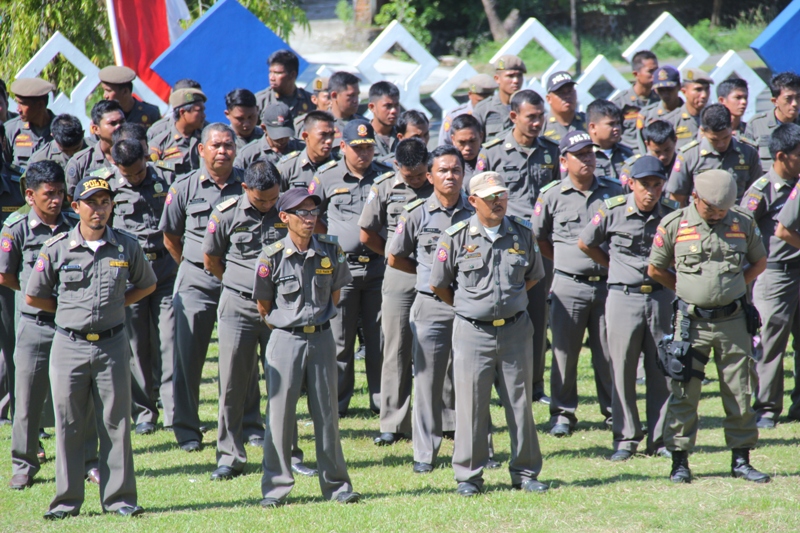 Satpol PP Tunggu Perbup Tindak Hewan Ternak