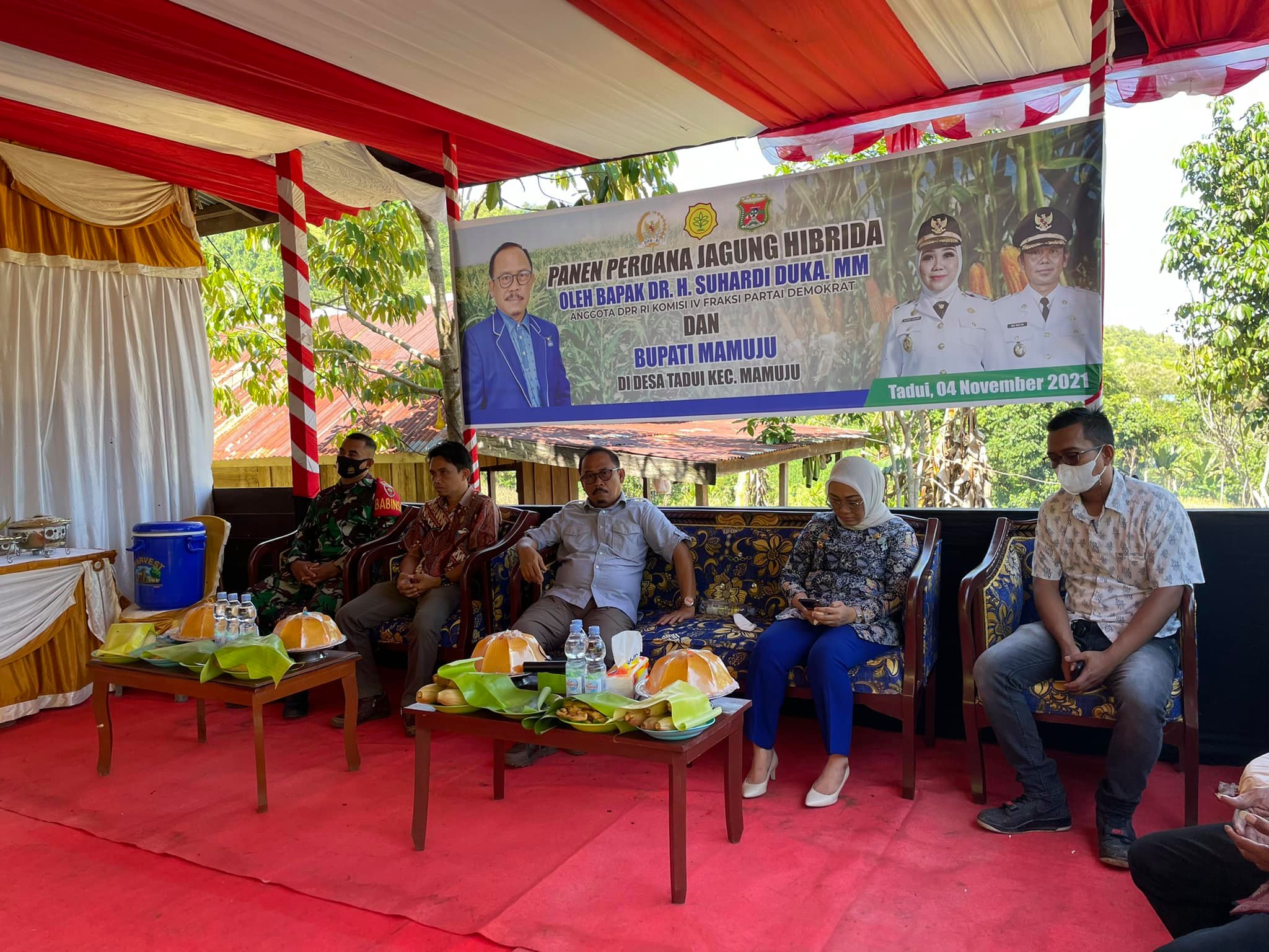 SDK Panen Jagung Hibrida Secara Perdana di Desa Tadui