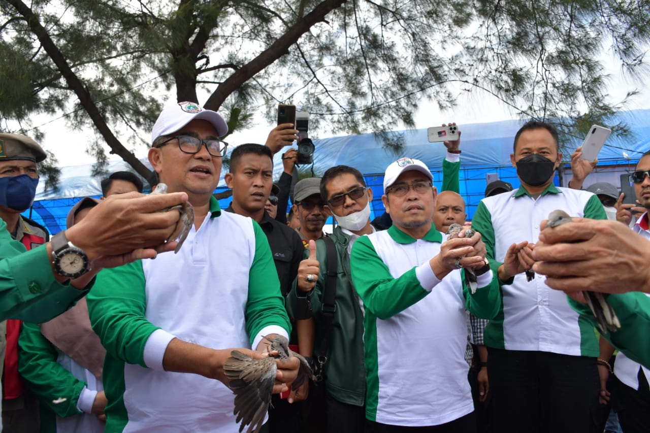 Kemandirian Pangan 2023 Pj Gubernur Sulbar Wajibkan OPD Kelola 5 Ha Kemandirian Pangan 2023. Kemandirian Pangan 2023 Pj Gubernur Sulbar Wajibkan OPD Kelola 5 Ha Kemandirian Pangan 2023.