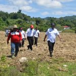 Dorong Kemandirian Pangan, Siapkan Lahan Menuju Sulbar Merdeka Pangan