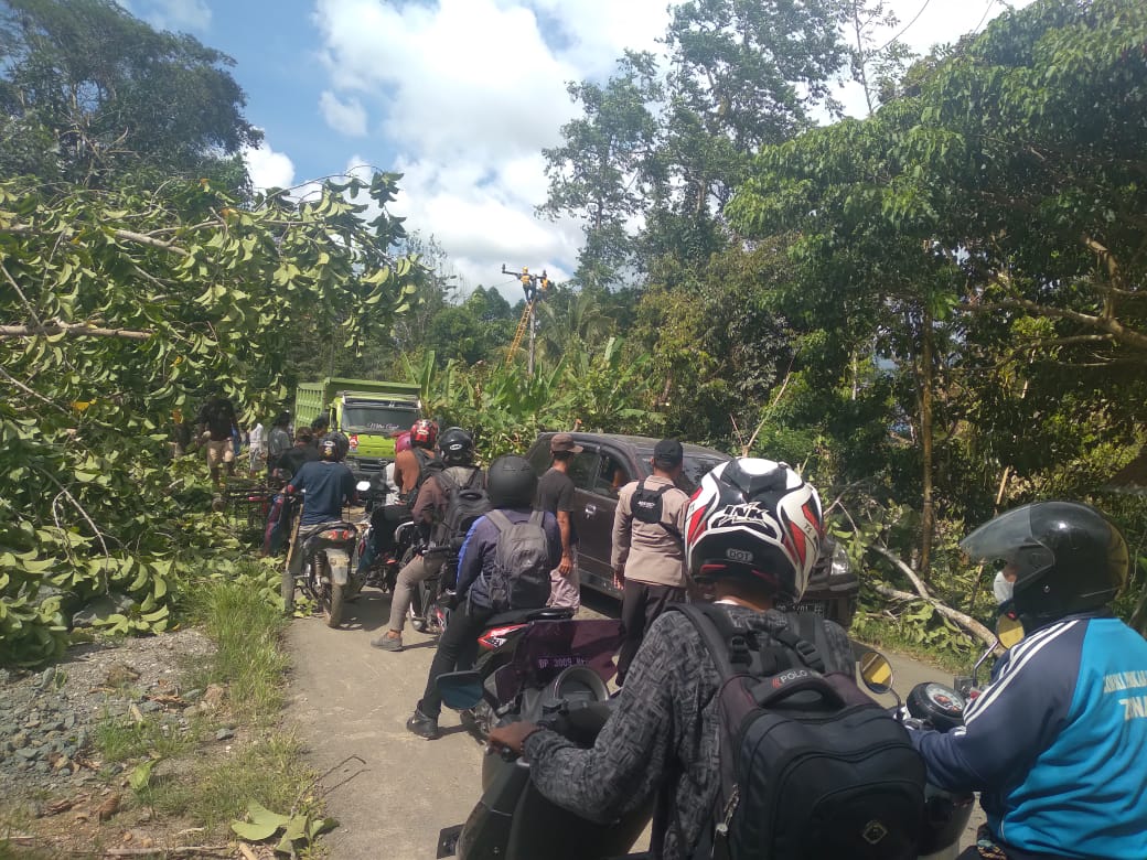 Bhabinkamtibmas Polresta Mamuju Lakukan Pembersihan Pohon Tumbang Dijalan Dan Pengaturan Lalulintas