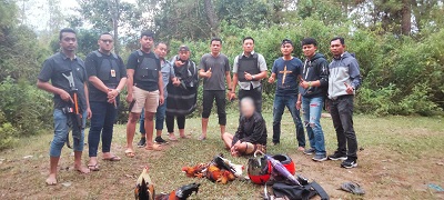 Operasi Pekat, Piket Fungsi Polres Mamasa Gerebek Judi Sabung Ayam