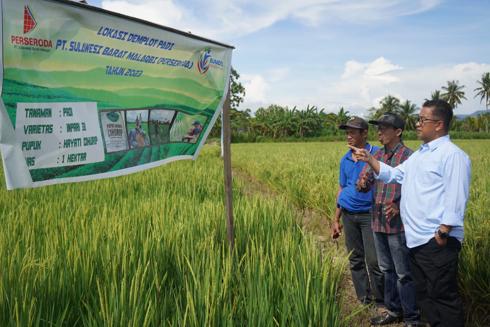 Enam Kabupaten Bakal Terima Combine Harvester, Akmal: di Mamuju Akan Ditempatkan di Desa Bonde