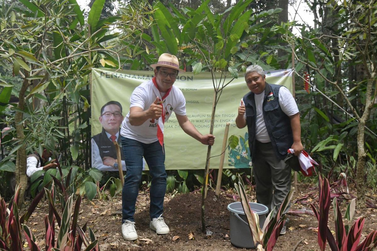 Selama Lima Tahun, 83 Juta Bibit Pohon Tertanam dan 81 Ribu Ha Lahan Kritis Pulih di Jabar