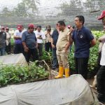 OPD Pemprov Sulbar Melihat Langsung Sentra Pembibitan Sukun di Bone