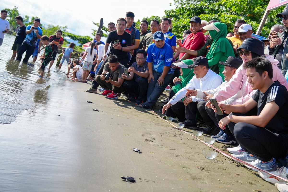 Berkolaborasi Merawat Habitat Penyu di Pantai Landi