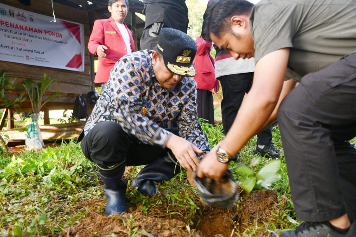 Tanam Pohon Bersama Pj Gubernur Bahtiar, Ketua PDM: Ada Hadist Nabi Tentang Tanam Pohon