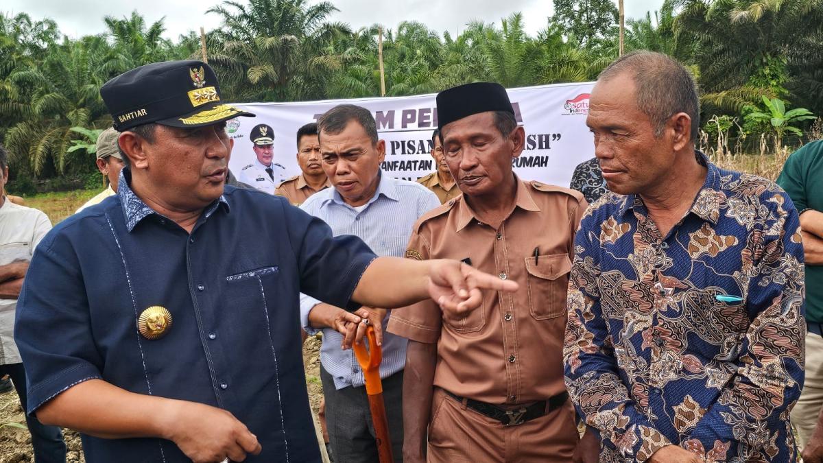 Pj Bahtiar Hadiri Tanam Pisang di Pasangkayu