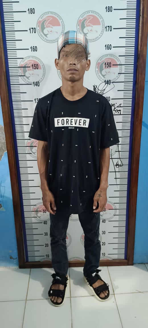 Warga Polewali Ditangka Karena Simpan Sabu di Rumah Kebun Warga Polewali Ditangka Karena Simpan Sabu di Rumah Kebun