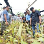 OPD Pemprov Terpacu Kejar Investor Ajak ke Sulbar