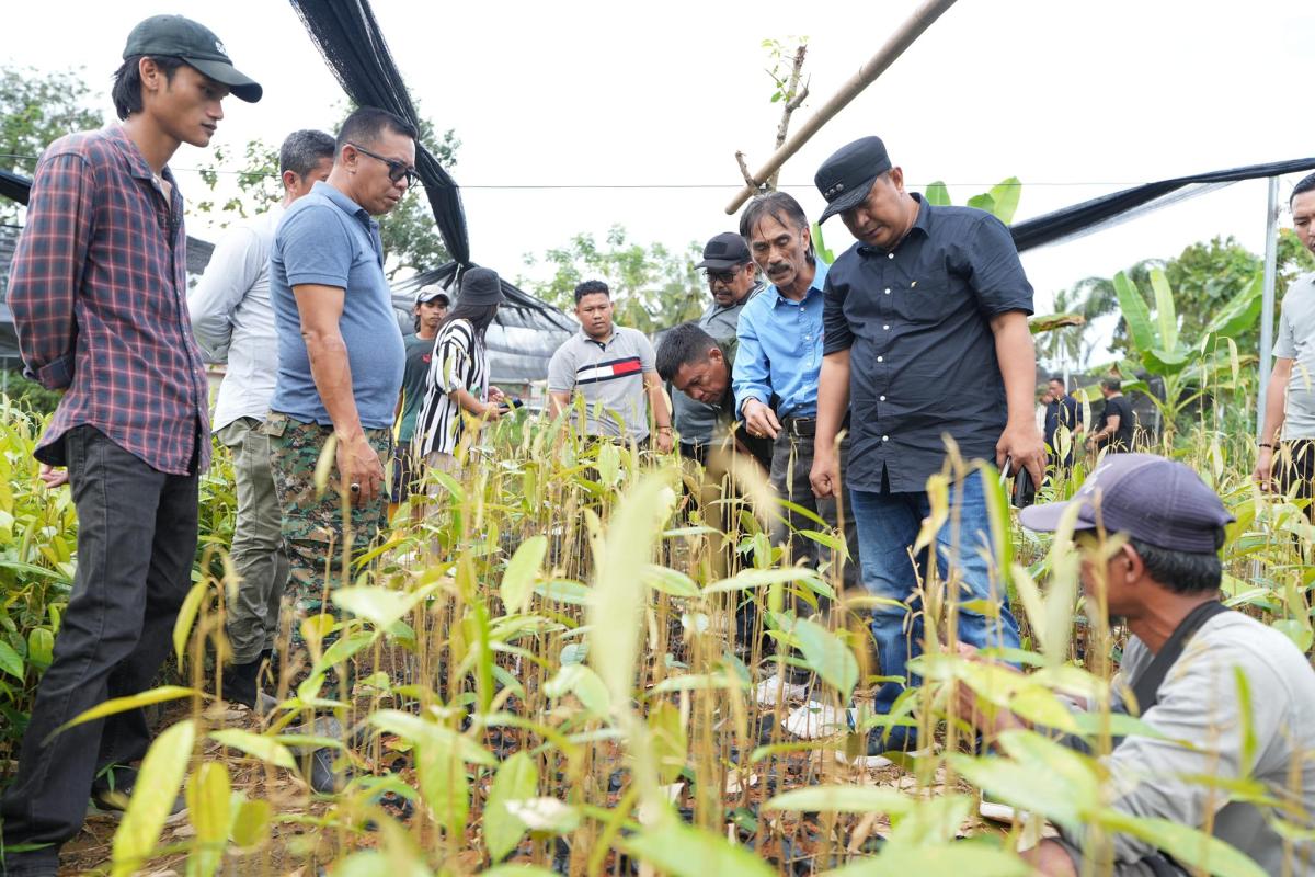 OPD Pemprov Terpacu Kejar Investor Ajak ke Sulbar