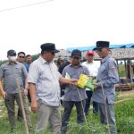 Pj Bahtiar Kunjungi Perkebunan Induk Hortikultura Batupanga Polman