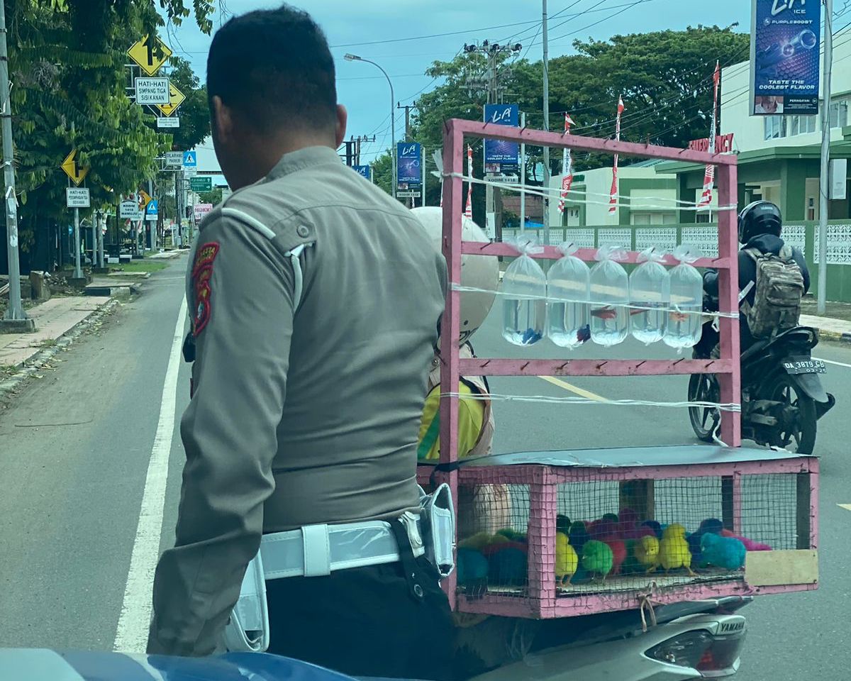 Sat Lantas Polresta Mamuju Berbagi Makanan Kepada Pengguna Jalan