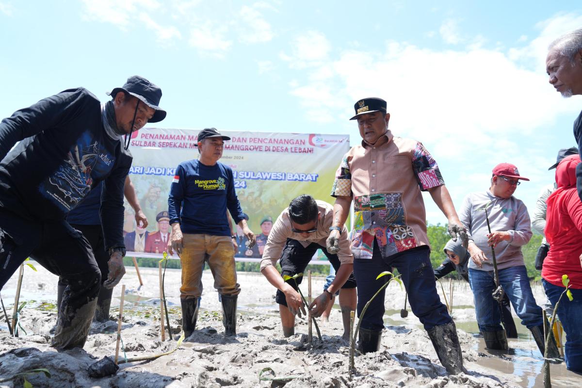 PJ Bahtiar Bersama Forkopimda Galakkan Penanaman Mangrove