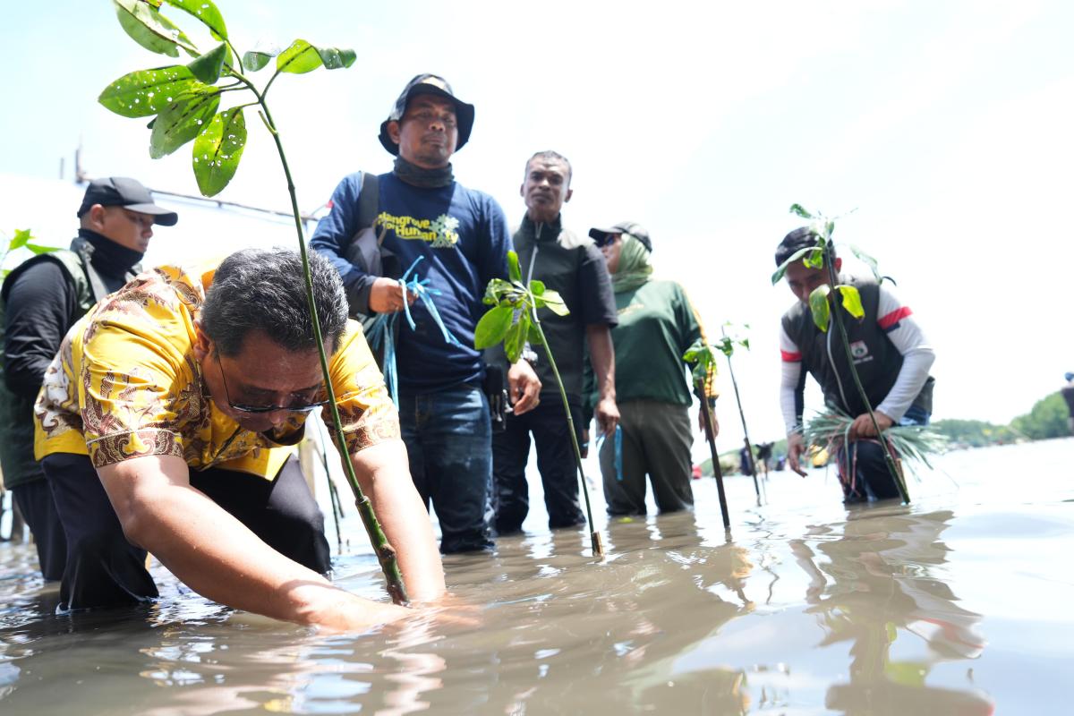 PJ Gubernur Sulbar Bahtiar lanjutkan Sepekan Menanam Mangrove