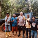 Dukung Ketahanan Pangan, Kapolda Sulbar Tinjau Lahan Perkebunan di Botteng Mamuju Dukung Ketahanan Pangan, Kapolda Sulbar Tinjau Lahan Perkebunan di Botteng Mamuju