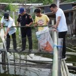 Pj Bahtiar Serahkan Bantuan Bibit Nila, Sukun dan Cavendish