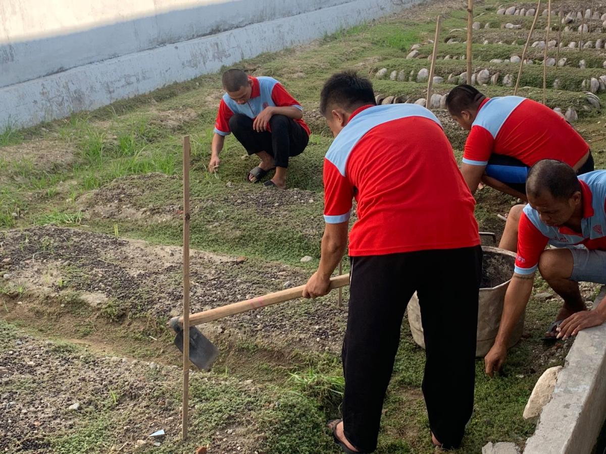 Warga Binaan Rutan Majene Manfaatkan Lahan Kosong Untuk Pertanian