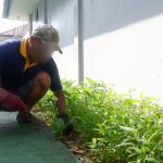 Rutan Mamuju Genjot Pemanfaatan Lahan Pertanian  Rutan Mamuju Genjot Pemanfaatan Lahan Pertanian