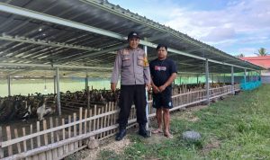 Bhabinkamtibmas Polsek Baras Mengunjungi Peternak Bebek