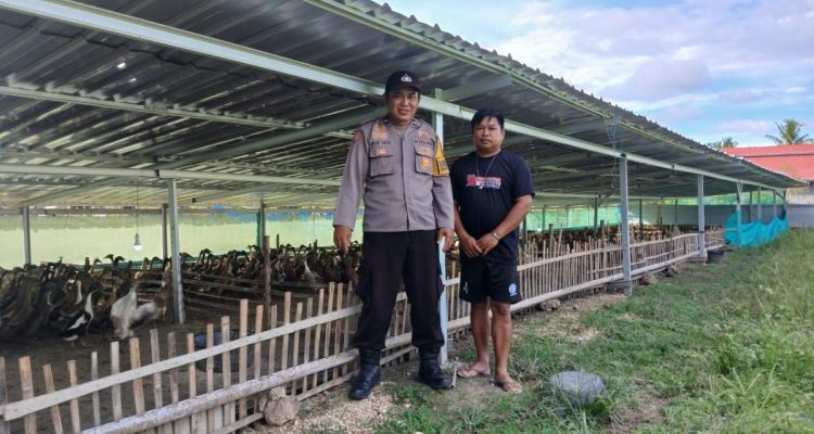 Bhabinkamtibmas Polsek Baras Mengunjungi Peternak Bebek