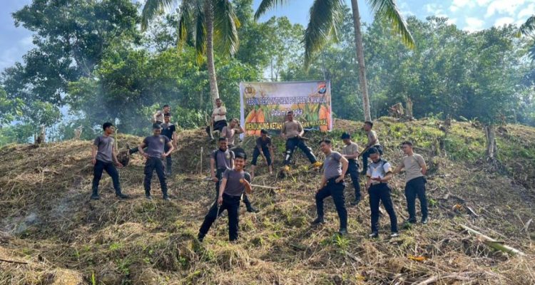 Polresta Mamuju Kelola Kebun Percontohan  Wujudkan Ketahanan Pangan