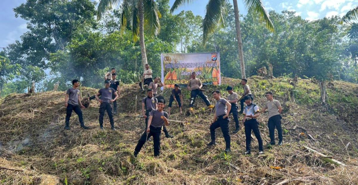 Polresta Mamuju Kelola Kebun Percontohan  Wujudkan Ketahanan Pangan