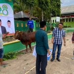 PJ Bahtiar Sumbang Dua Ekor Sapi Untuk Haul Agh Abdurrahman Ambo Dalle PJ Bahtiar Sumbang Dua Ekor Sapi Untuk Haul Agh Abdurrahman Ambo Dalle